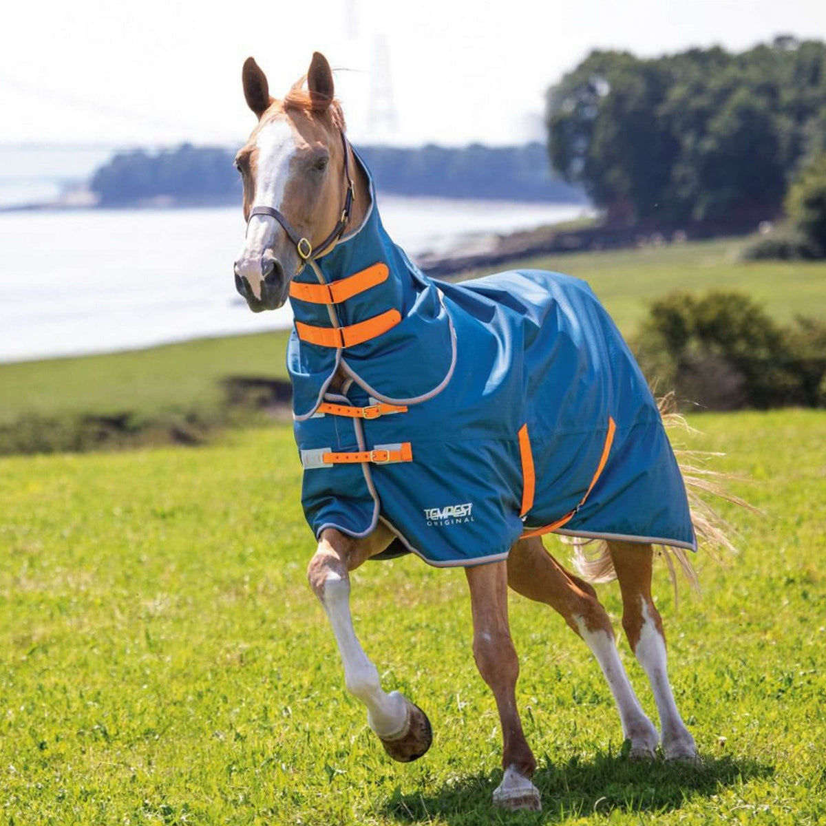 Tempest Original by Shires Coperta Impermeabile Turnout Lite Verde acqua