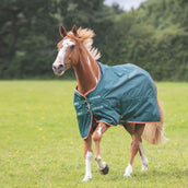 Tempest Original by Shires Coperta da scuderia Typhoon Lite Verde