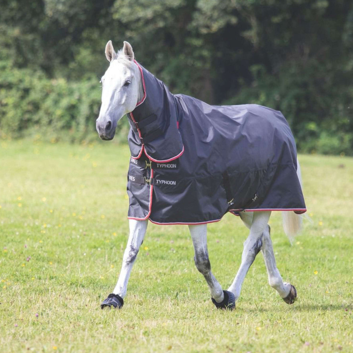 Tempest Original by Shires Turnout Typhoon Combo Nero