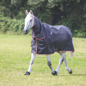 Tempest Original by Shires Turnout Typhoon Combo Nero