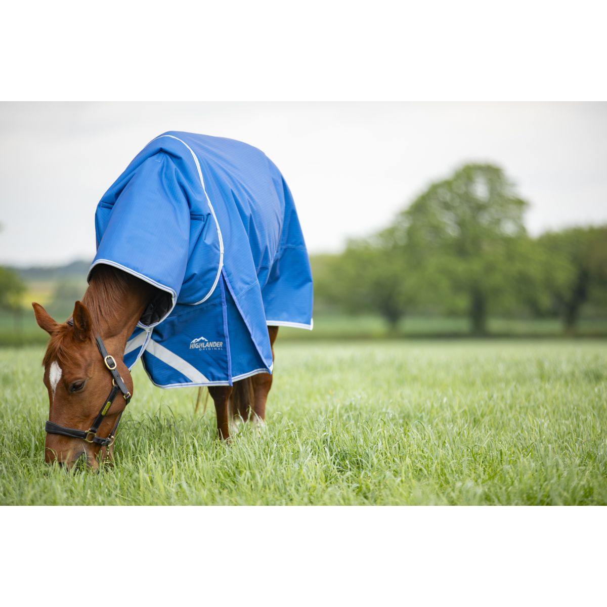 Coperta invernale originale Highlander da 200 g con collo Blu