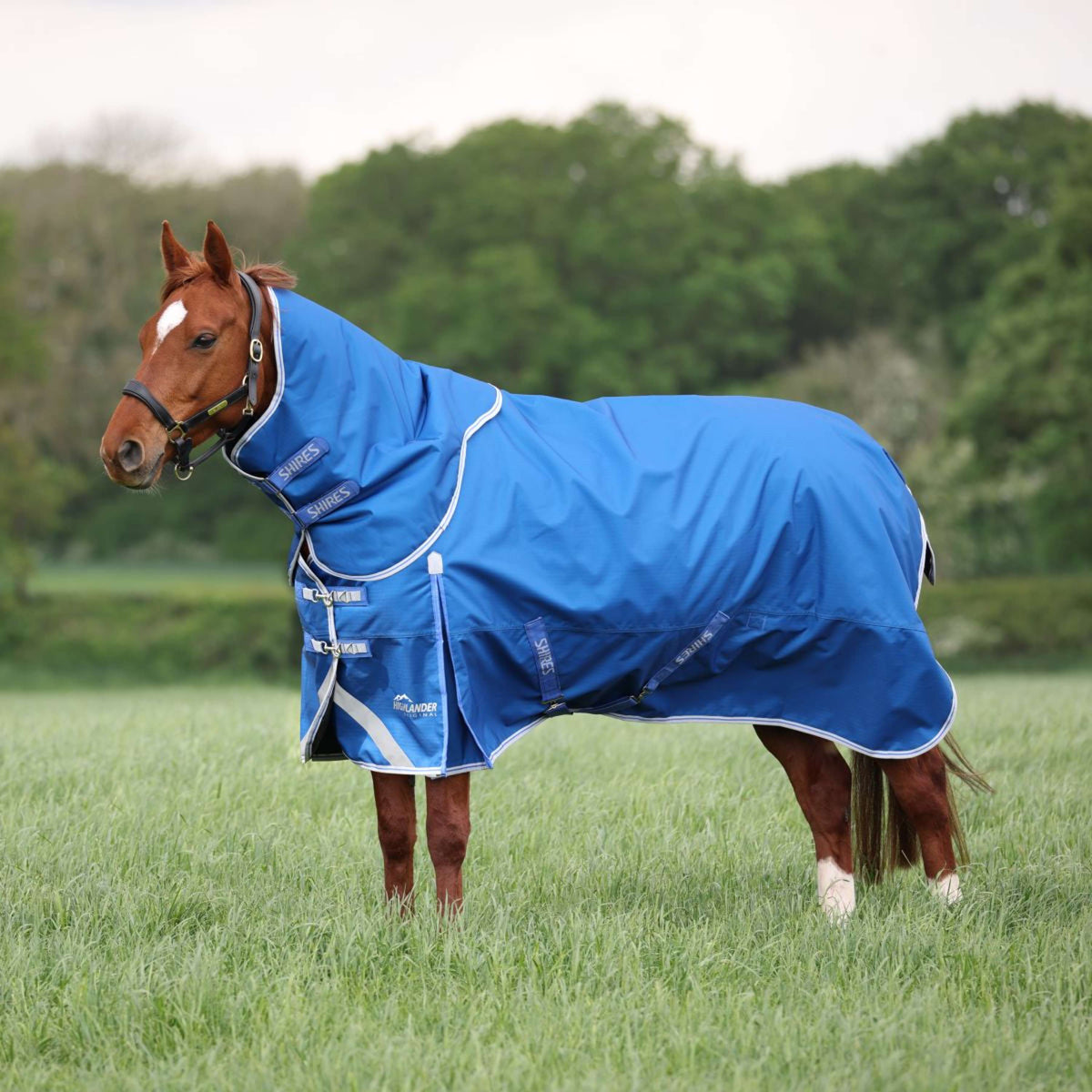 Coperta invernale originale Highlander da 200 g con collo Blu