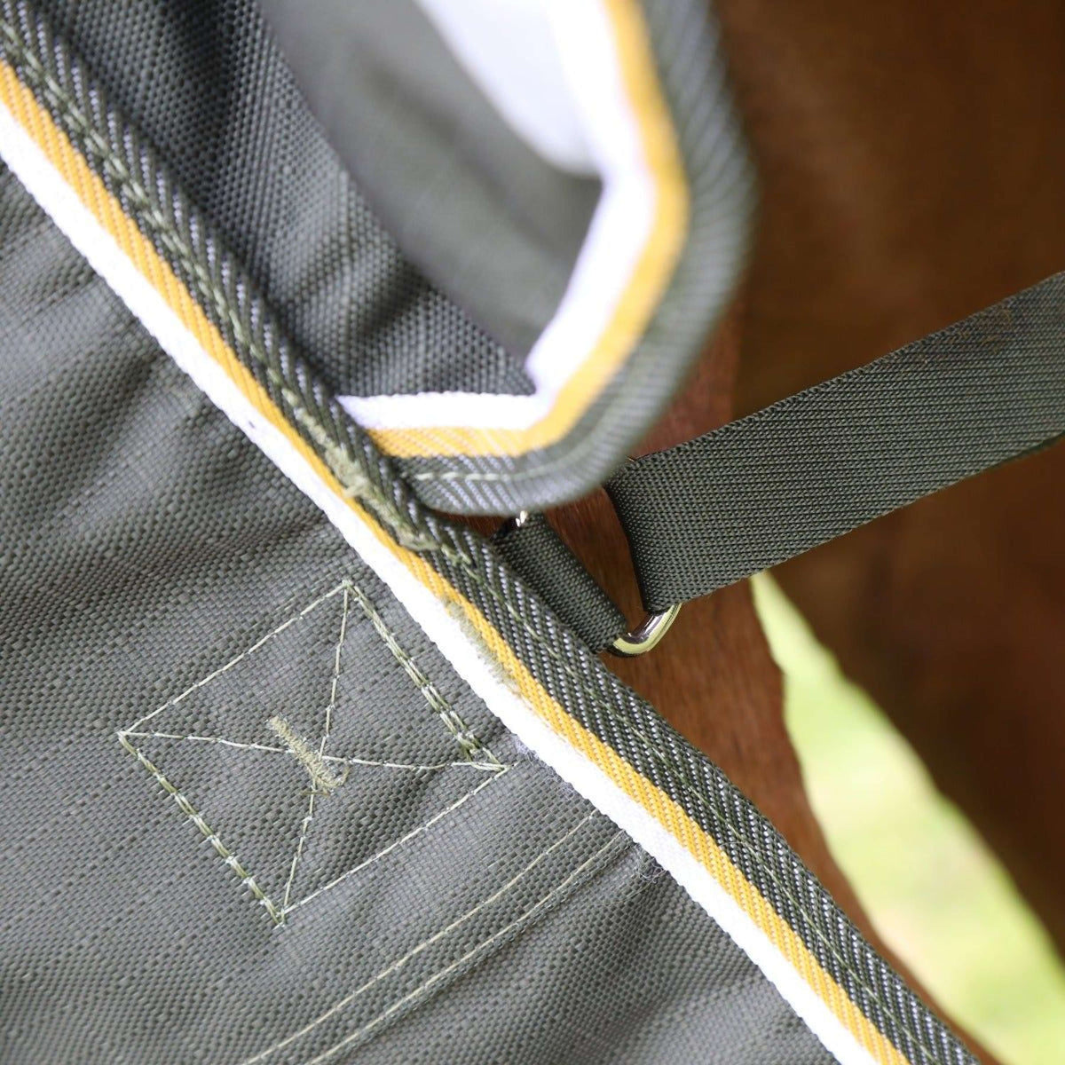 Highlander Plus by Shires Ritorno dell'affluenza alle urne 50g Verde