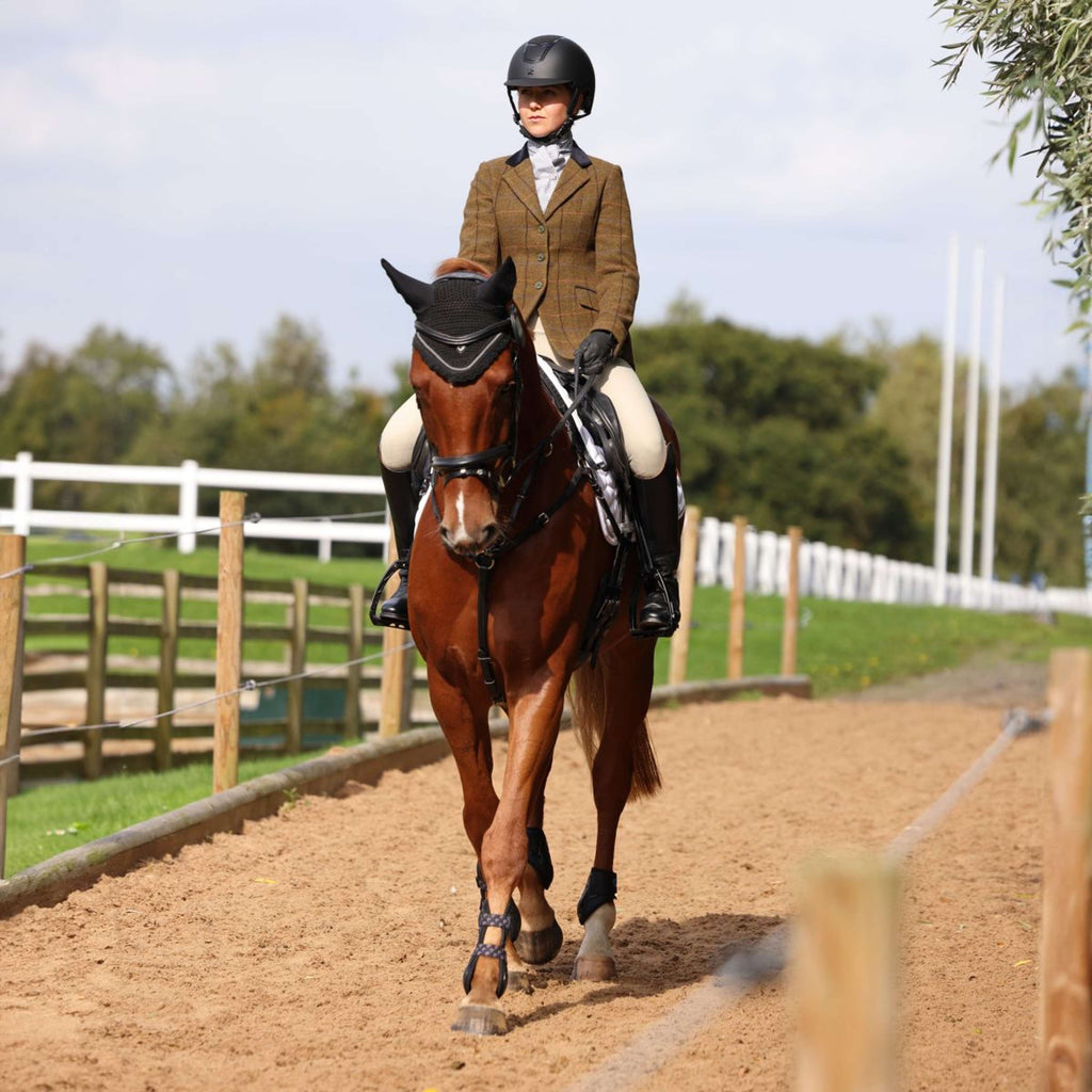 Aubrion by Shires Giacca da Competizione Saratoga Rovere Marrone Check