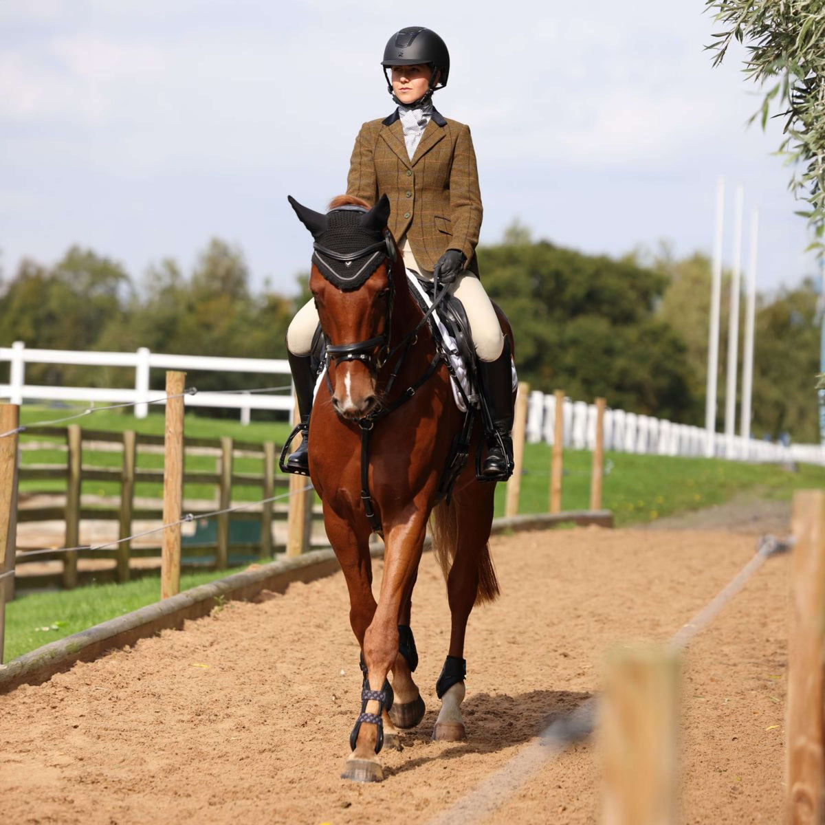 Aubrion by Shires Giacca da Competizione Saratoga Rovere Marrone Check