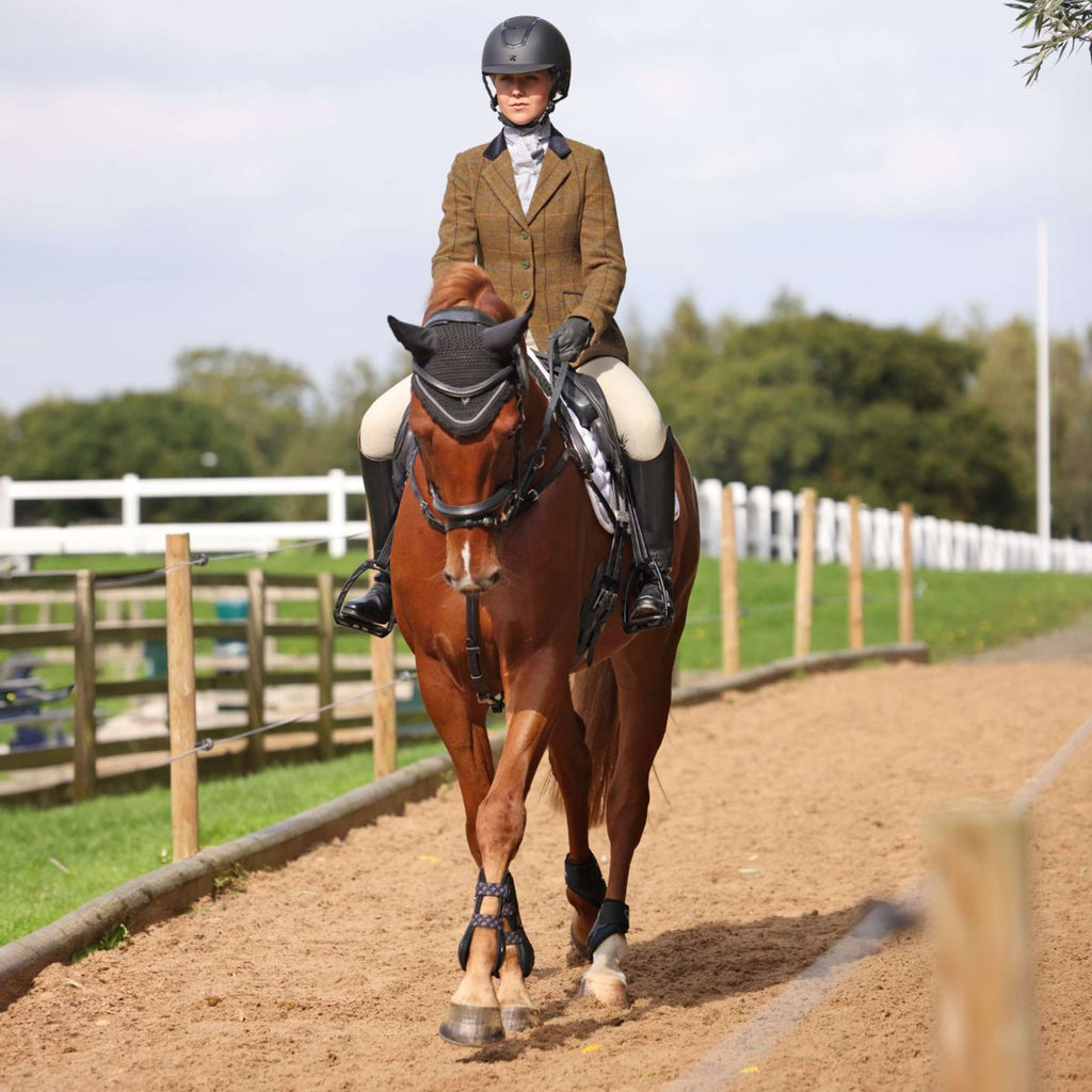 Aubrion by Shires Giacca da Competizione Saratoga Rovere Marrone Check
