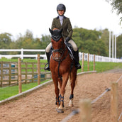 Aubrion by Shires Giacca da Competizione Saratoga Spruce Verde Check