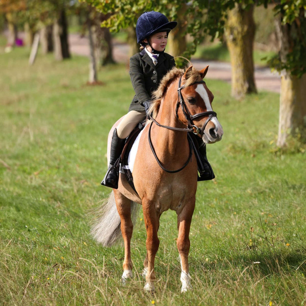 Aubrion by Shires Giacca da Competizione Saratoga Bambini Verde Scuro Check