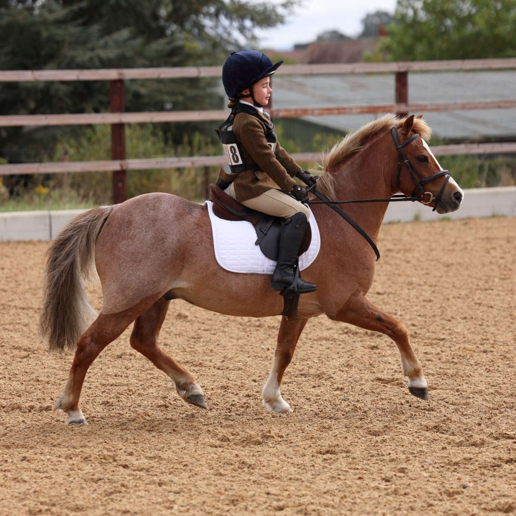 Aubrion by Shires Giacca da Competizione Saratoga Bambini Ruggine Check