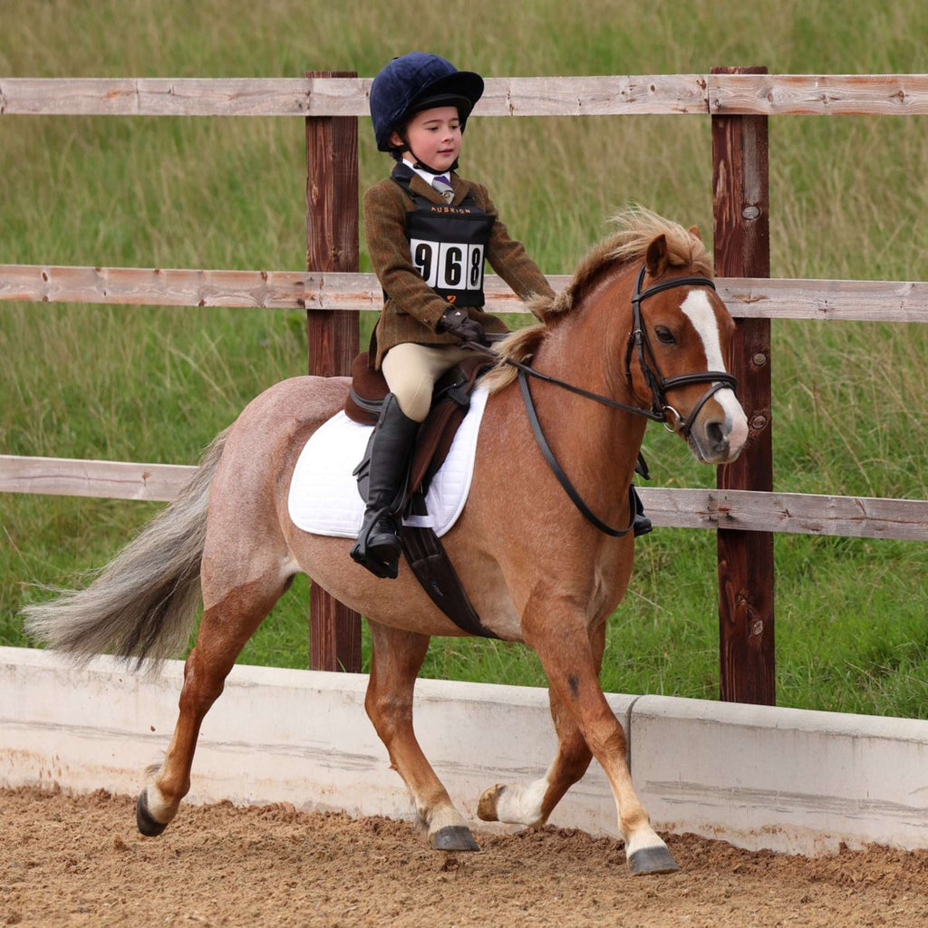 Aubrion by Shires Giacca da Competizione Saratoga Bambini Ruggine Check