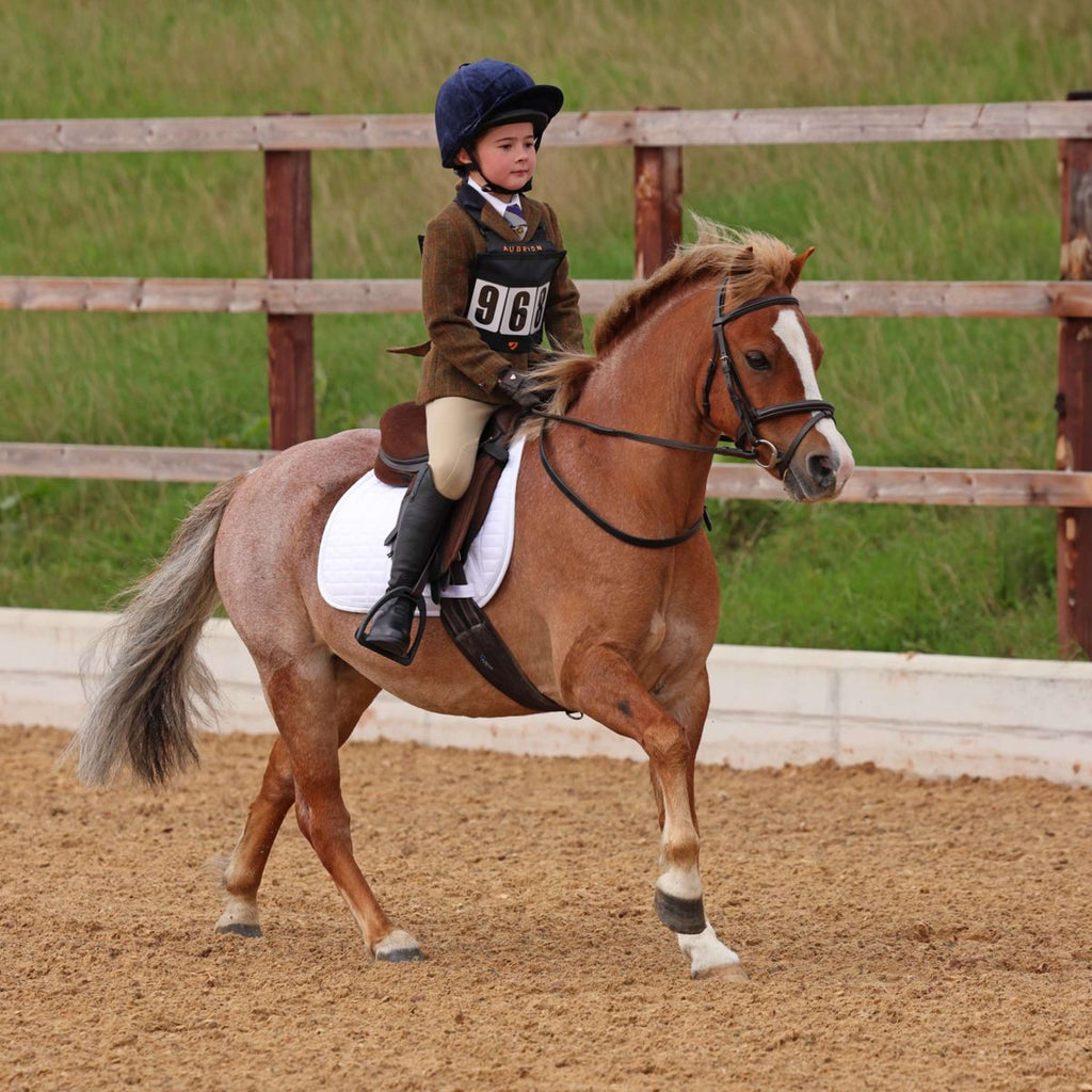 Aubrion by Shires Giacca da Competizione Saratoga Bambini Ruggine Check