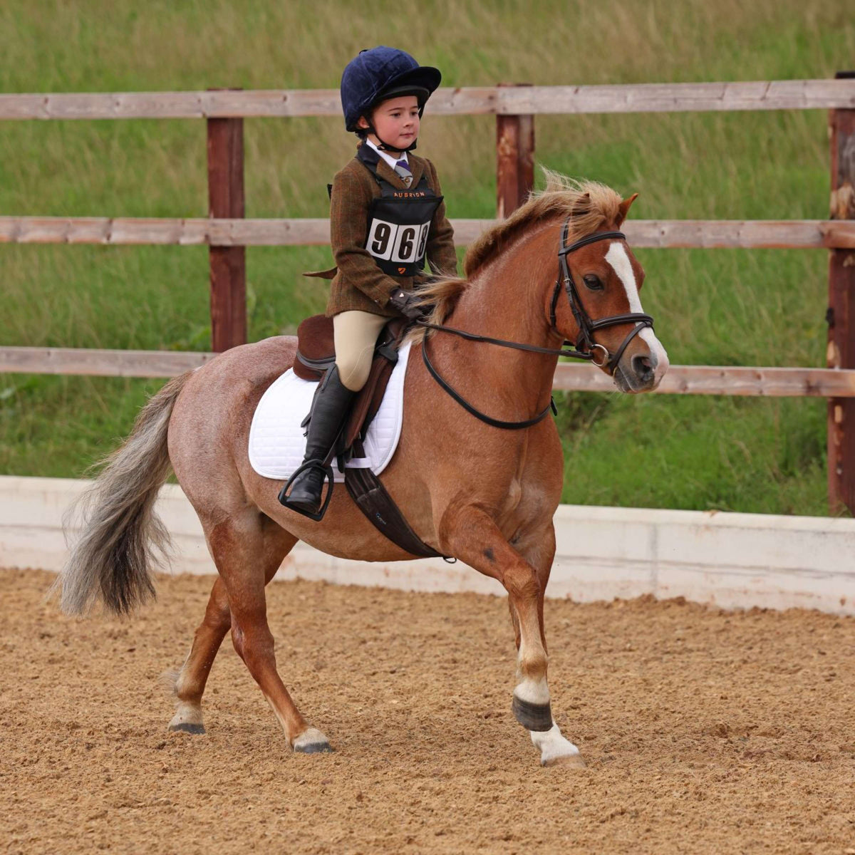 Aubrion by Shires Giacca da Competizione Saratoga Bambini Ruggine Check
