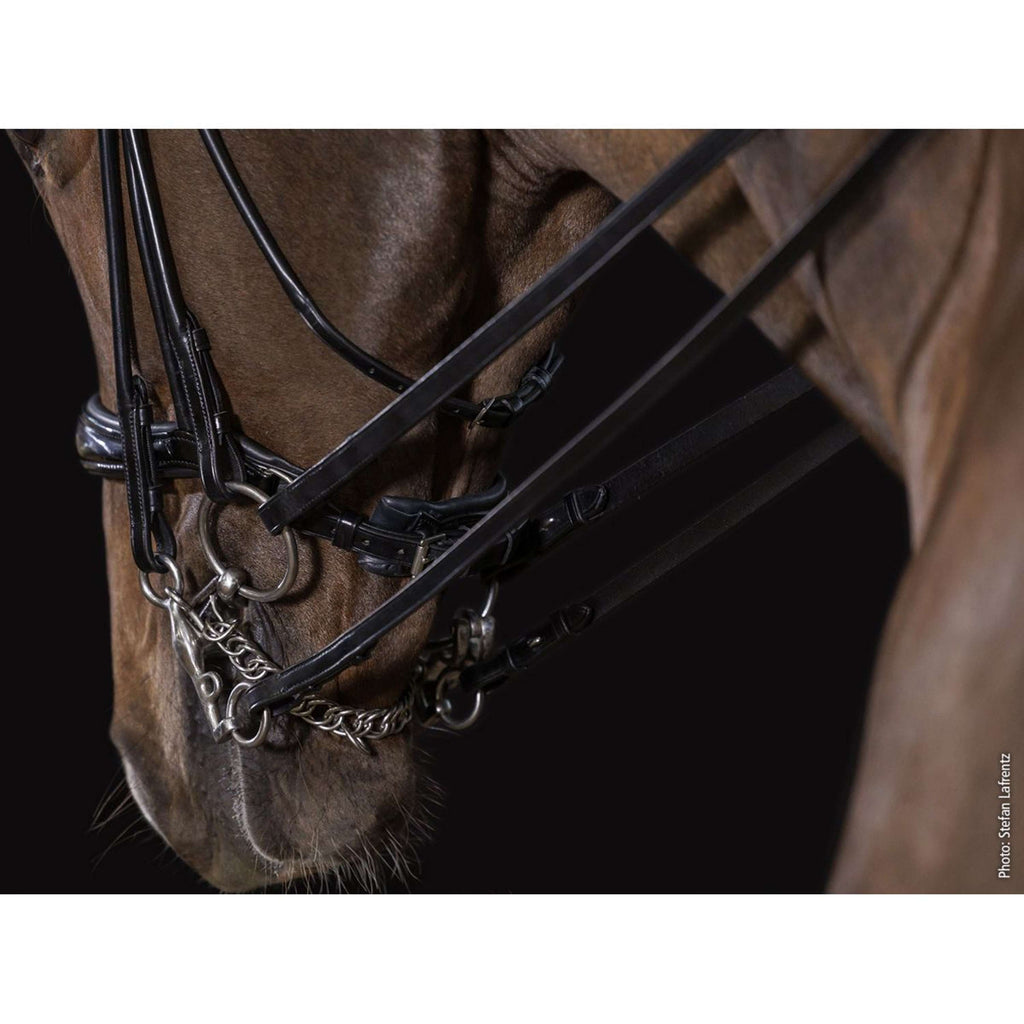 Schockemöhle Briglia Doppia Kensington Nero/Vernice/Argento