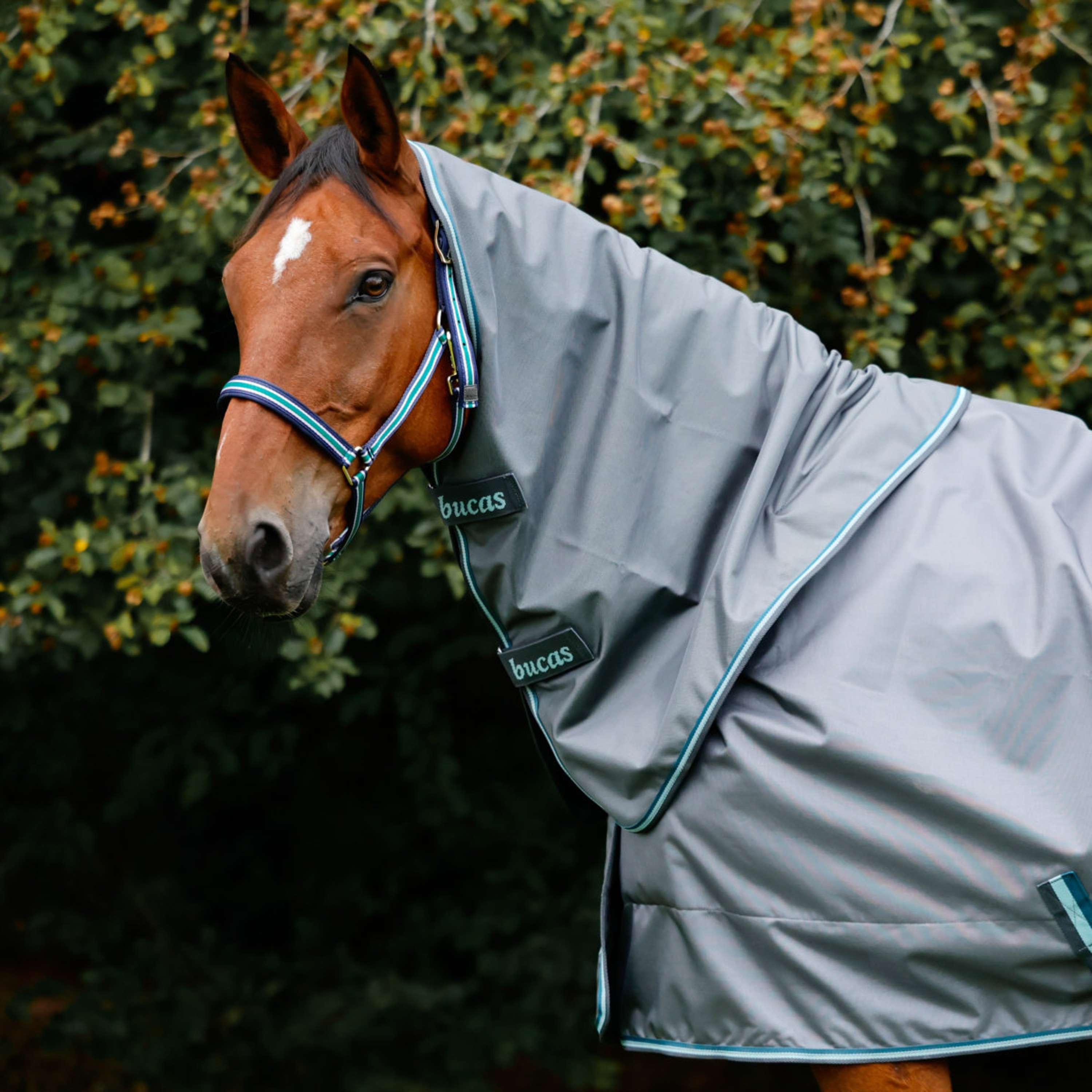 Bucas Copricollo Smartex Iron Gate/Teal