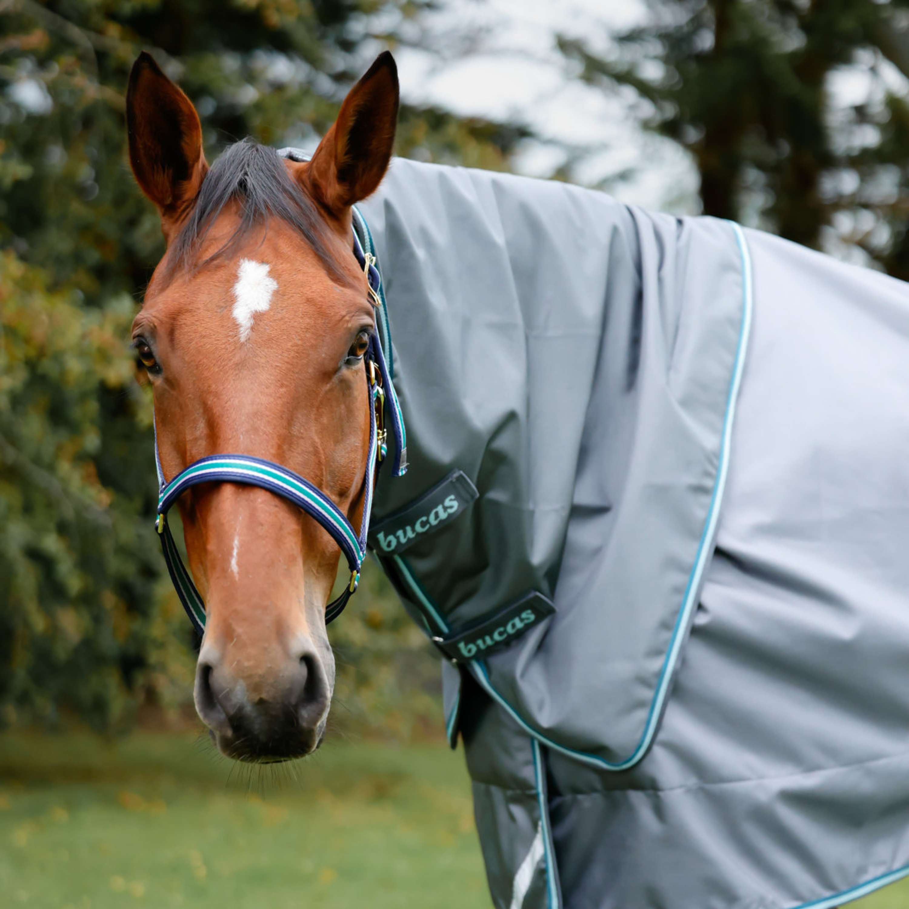 Bucas Copricollo Smartex Iron Gate/Teal
