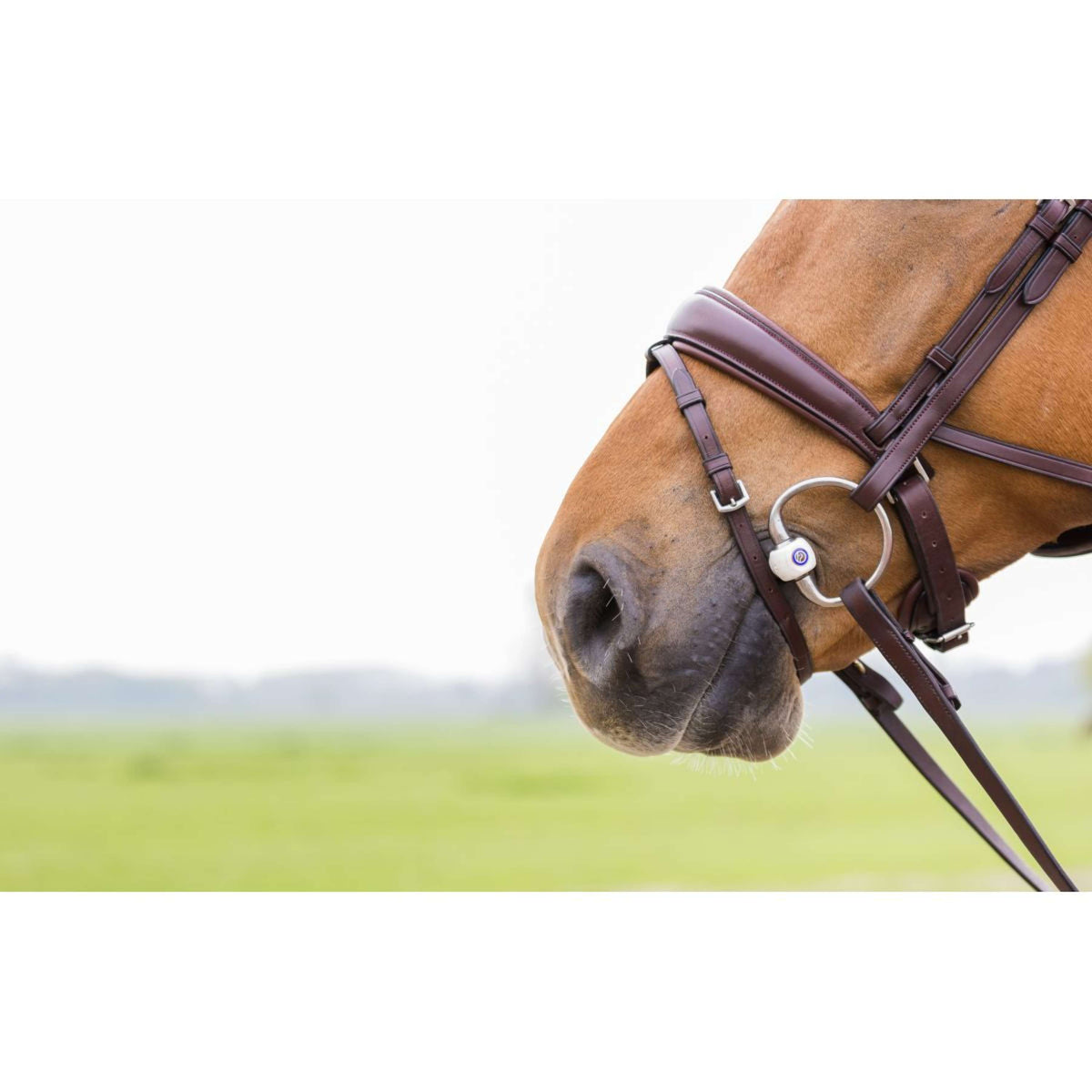 Trust Filetto a Due Anelli Inno Sense Flexi Soft 14mm