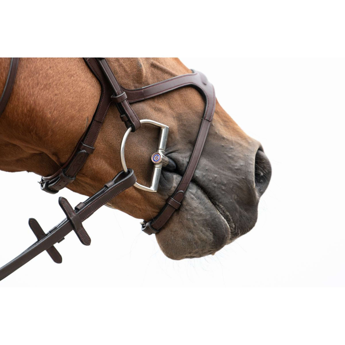 Trust D-Morso Sweet Iron