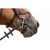 Trust D-Morso Sweet Iron