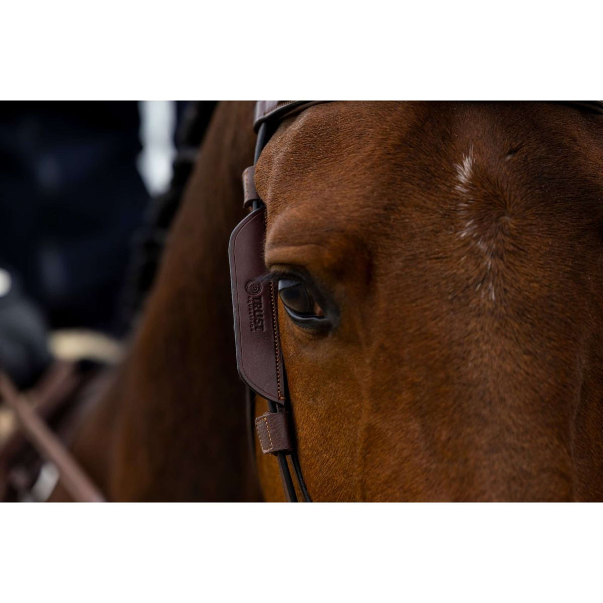 Trust Lampeggiatore Marrone