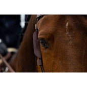 Trust Lampeggiatore Marrone