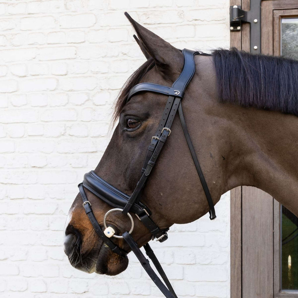 Velari Filet à Anneaux Libres Flex Soft 20 mm