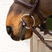 Velari Bocchino busto Flex Hard 20 mm