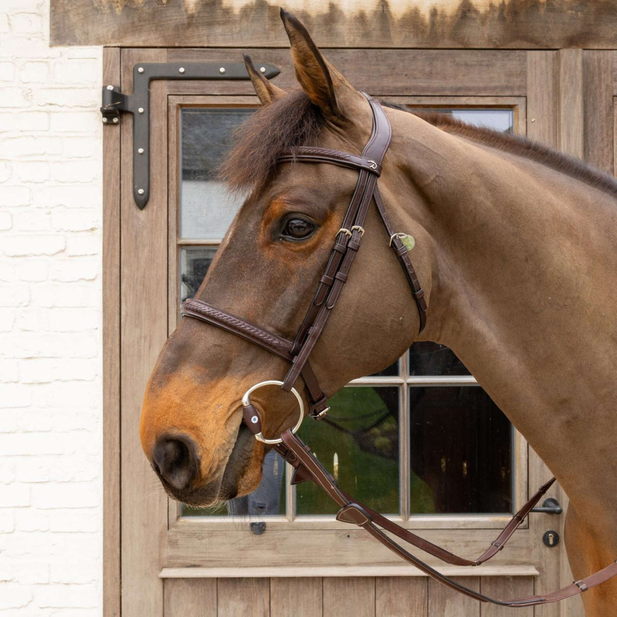 Velari Bocchino busto Flex Hard 20 mm