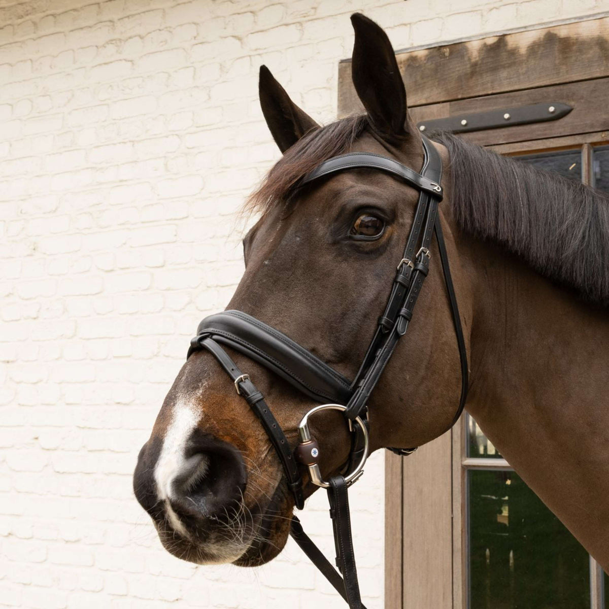 Velari Bocchino busto Flex Hard 20 mm