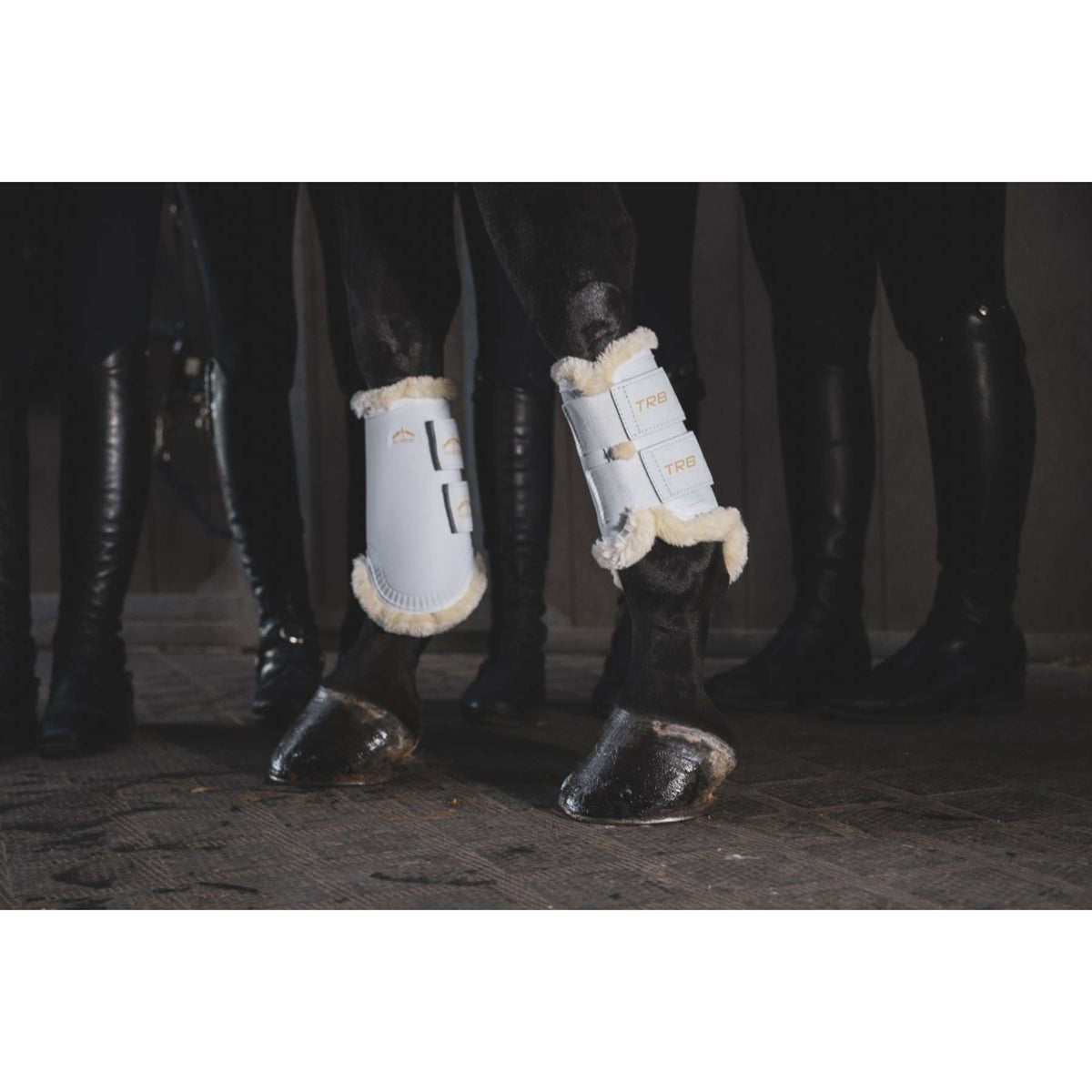 Veredus Parastinchi TRB Save the Sheep Rear Bianco