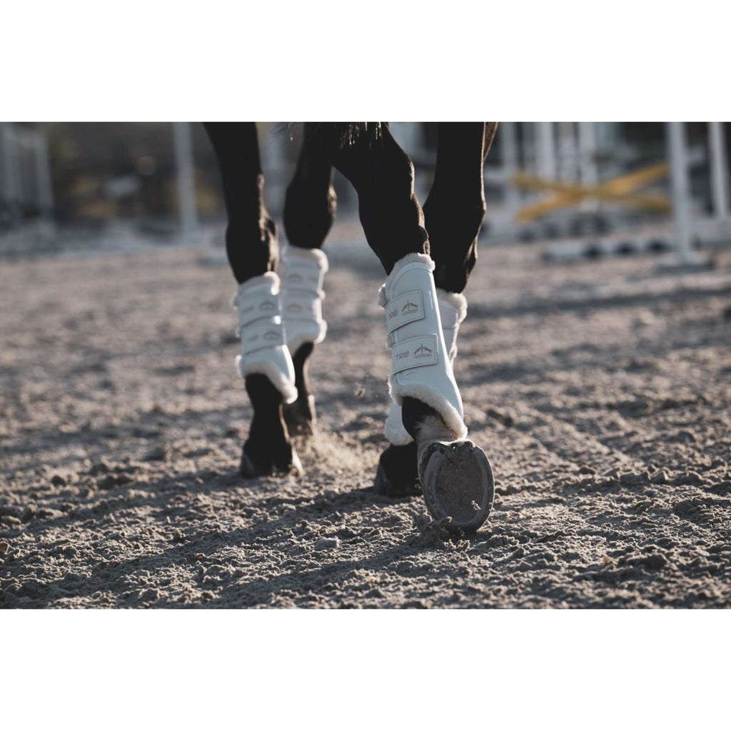 Veredus Parastinchi TRB Save the Sheep Rear Bianco