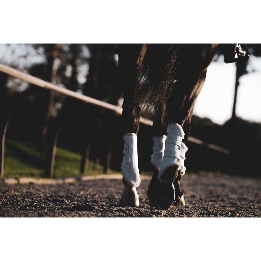 Veredus Parastinchi TRB Save the Sheep Rear Bianco