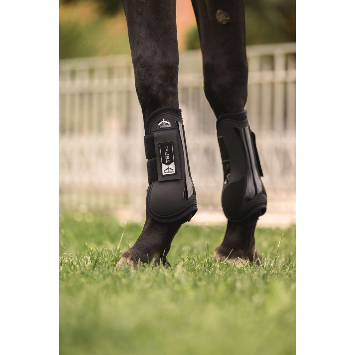 Veredus Stinchiere TR PRO Front Nero