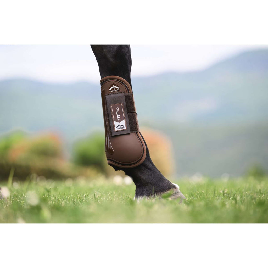Veredus Stinchiere TR PRO Front Marrone