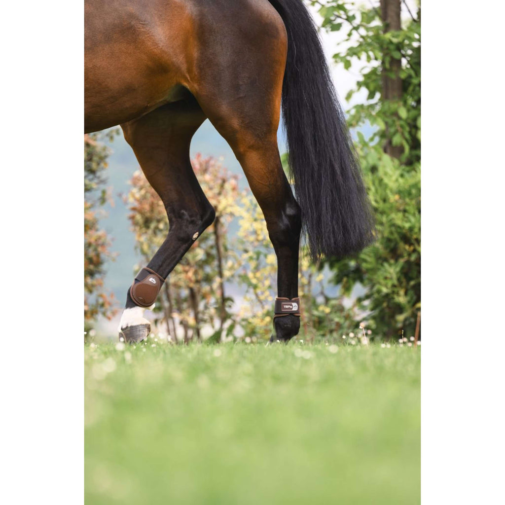 Veredus Stinchiere TR PRO Rear Marrone