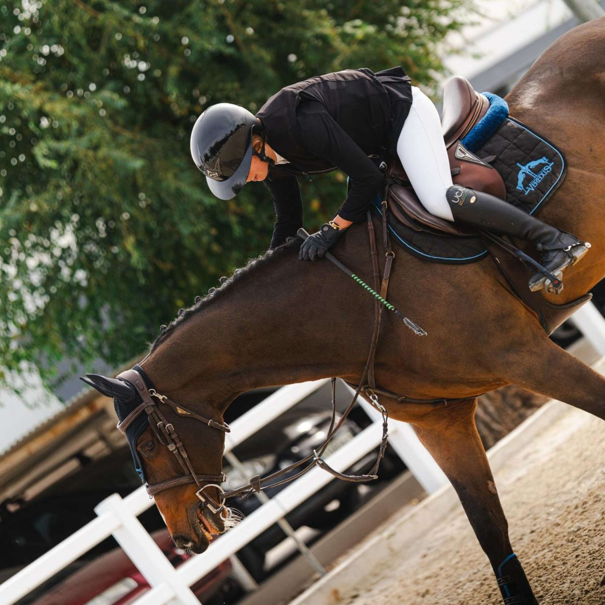 Veredus Casco da equitazione Vita Visiera Larga Lacca Nera