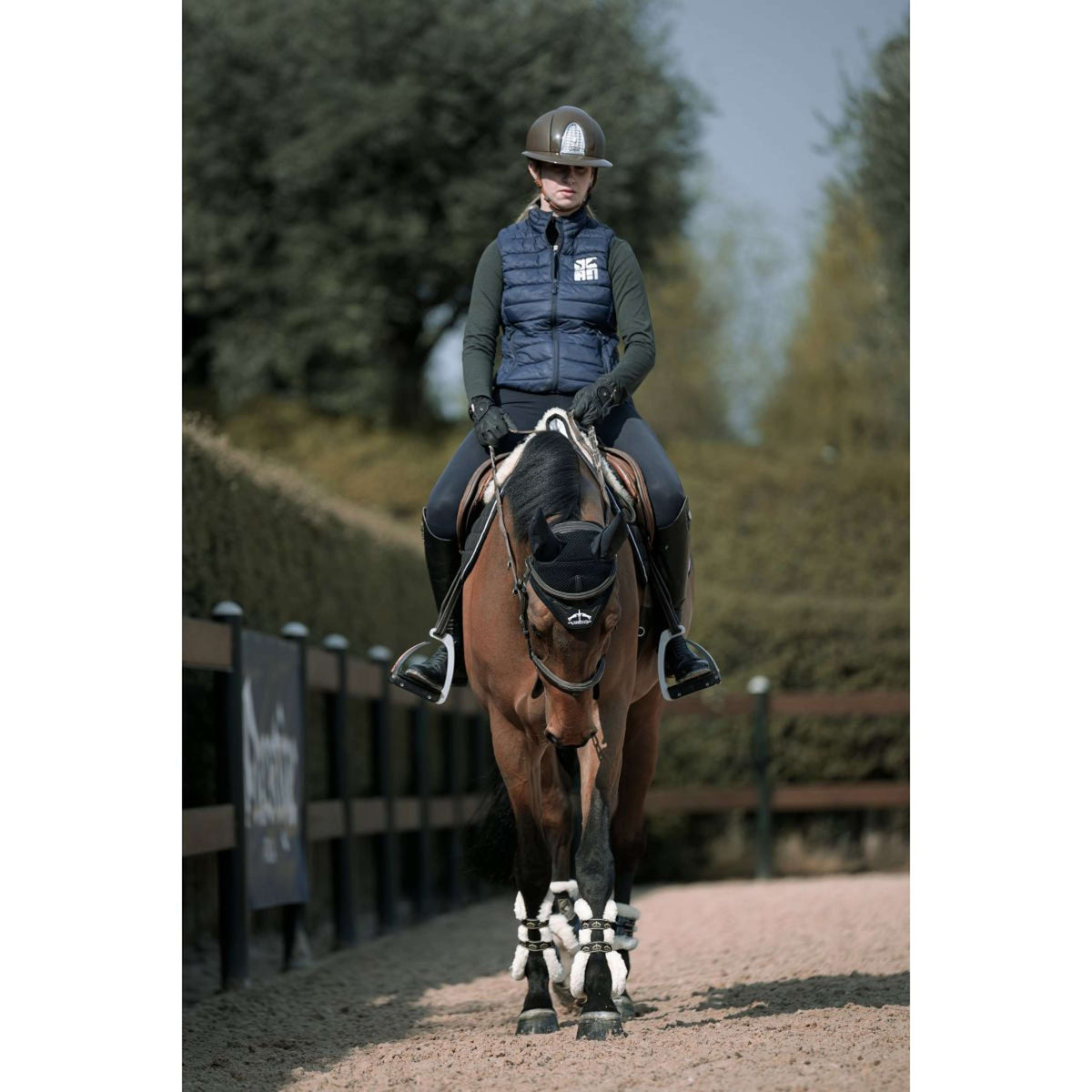 Veredus Stinchiere Carbon Gel Absolute Save the Sheep Rear Nero