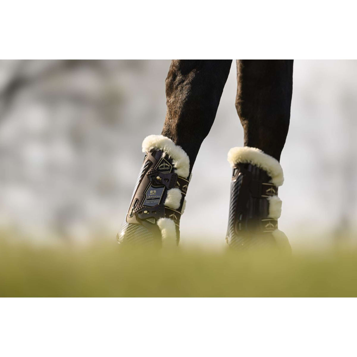 Veredus Stinchiere Carbon Gel Absolute Save the Sheep Front Marrone