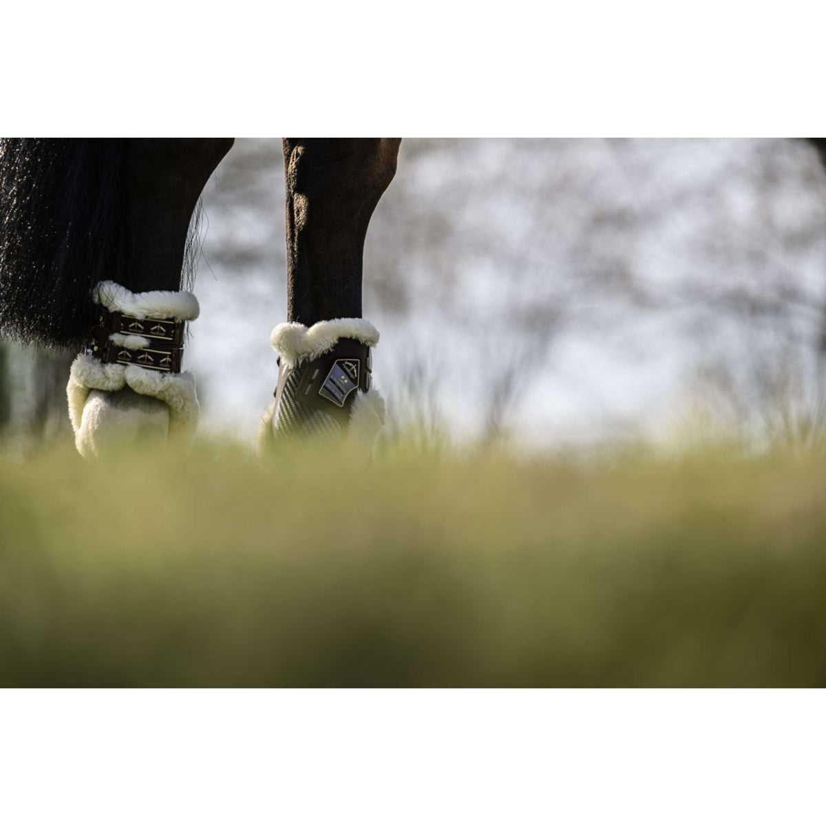 Veredus Stinchiere Carbon Gel Absolute Save the Sheep Rear Marrone