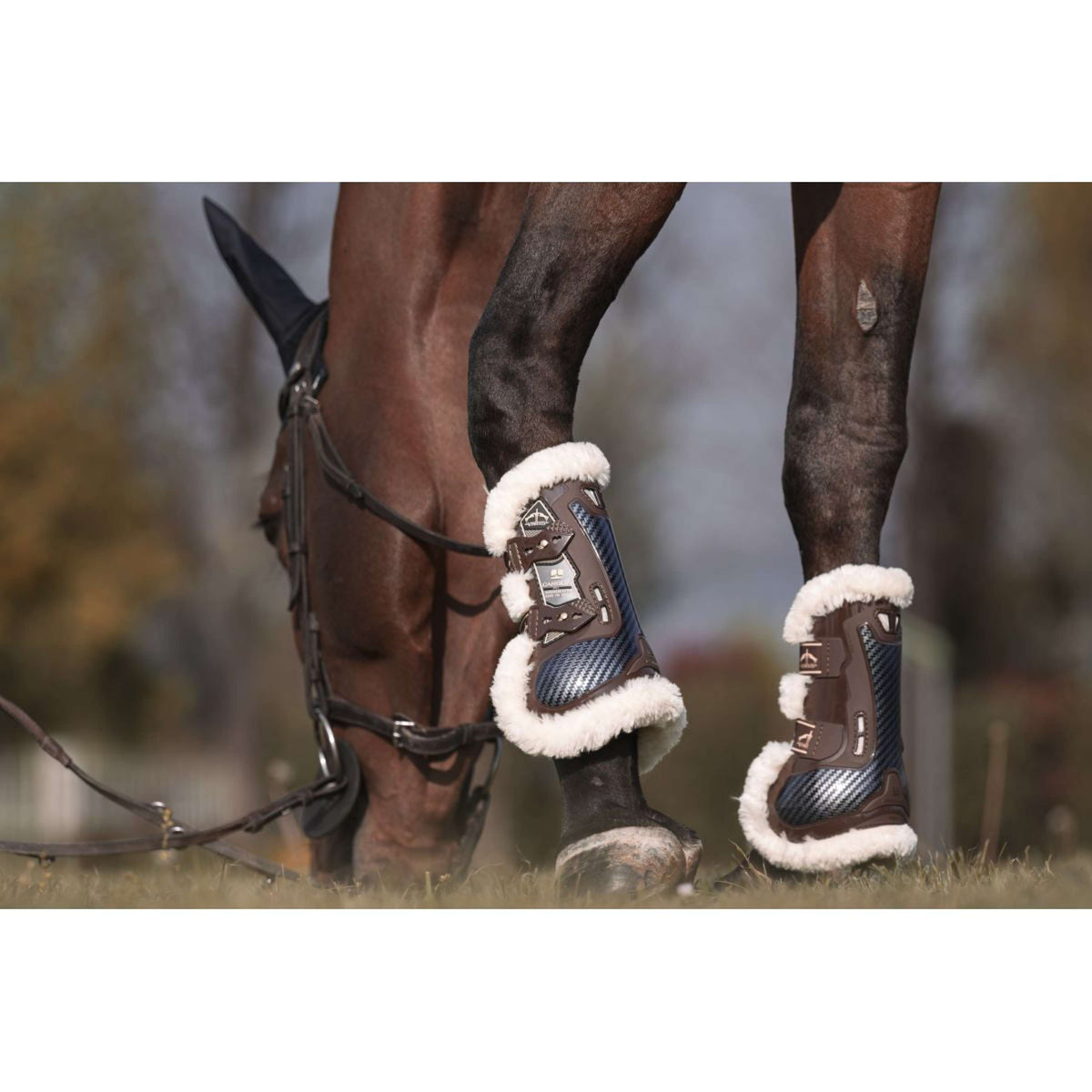 Veredus Stinchiere Carbon Gel Absolute Save the Sheep Front Marrone