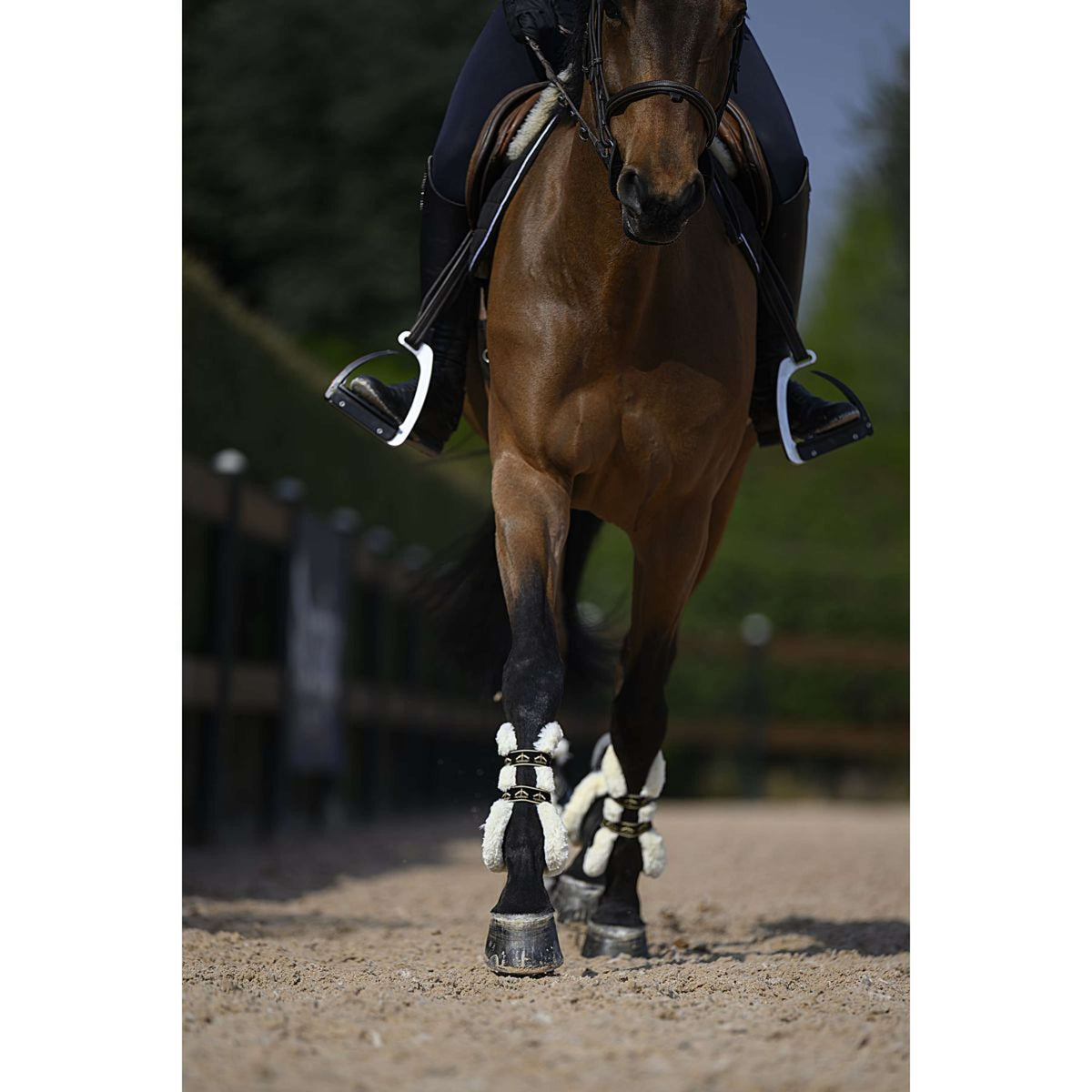 Veredus Stinchiere Carbon Gel Absolute Save the Sheep Rear Nero