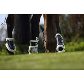 Veredus Stinchiere Carbon Gel Absolute Save the Sheep Rear Nero