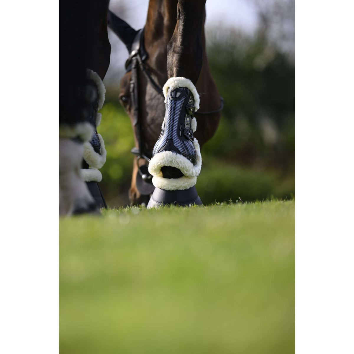 Veredus Stinchiere Carbon Gel Absolute Save the Sheep Front Nero