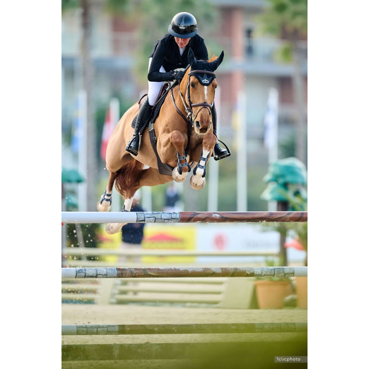 Veredus Casco da equitazione Vita Visiera Larga Lacca Nera