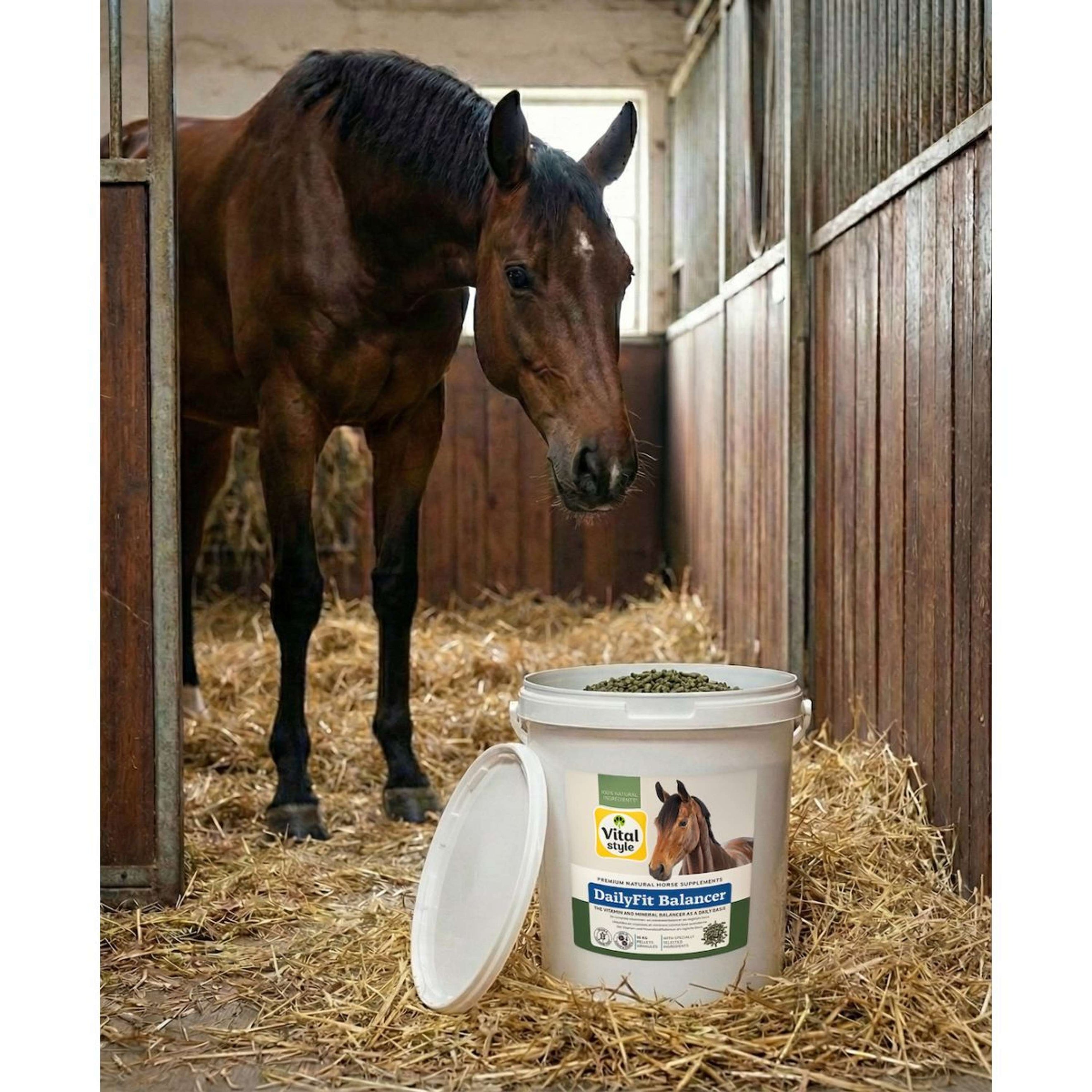 Vitalstyle DailyFit Balancer Vitalstyle DailyFit Balancer