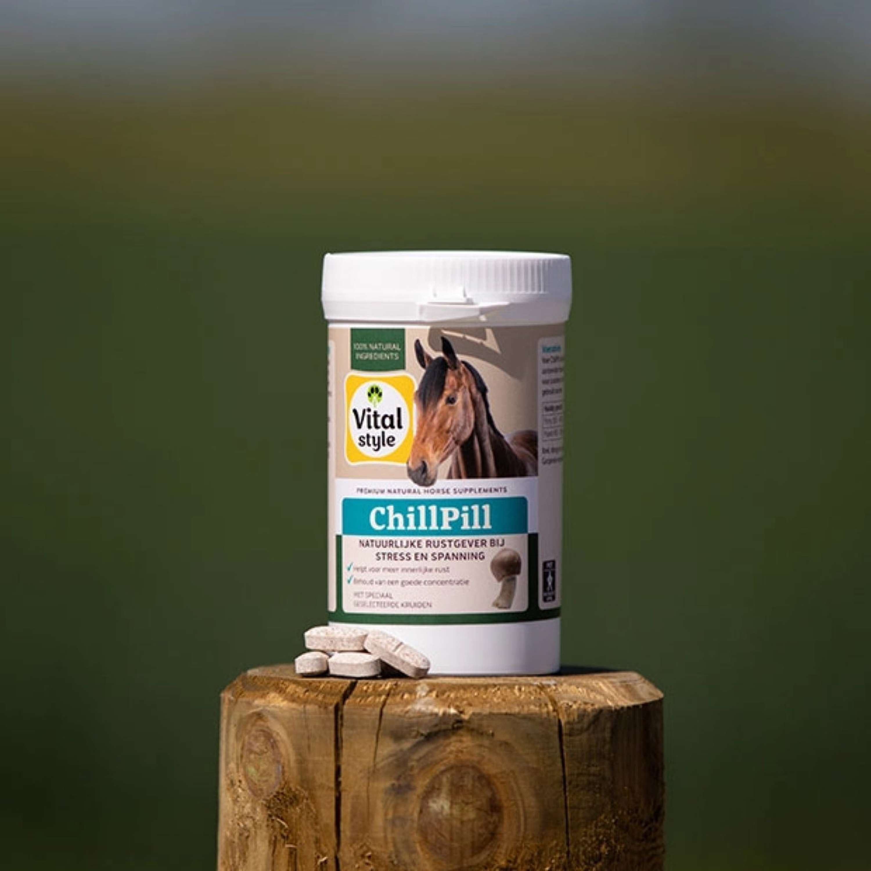 Vitalstyle ChillPill Cavallo