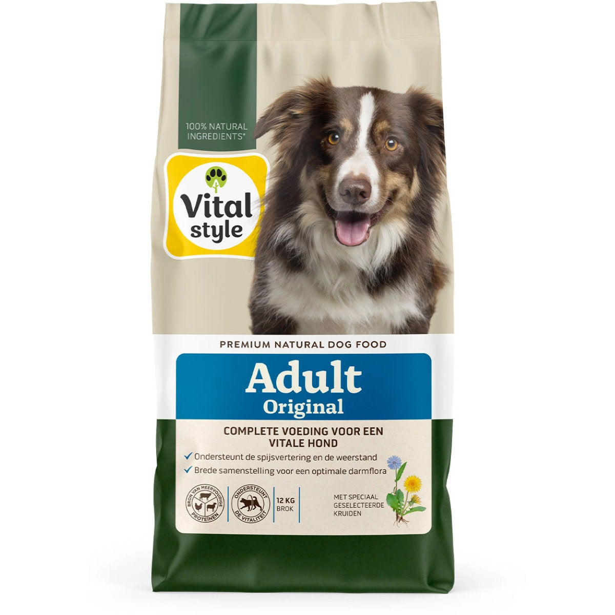 Vitalstyle Cane Adult