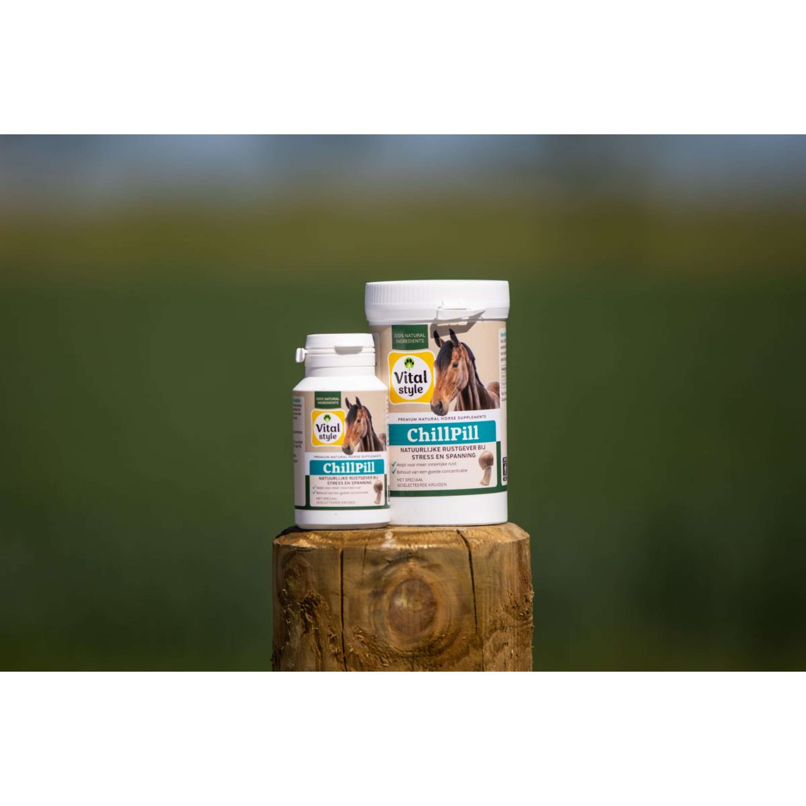 Vitalstyle ChillPill Cavallo