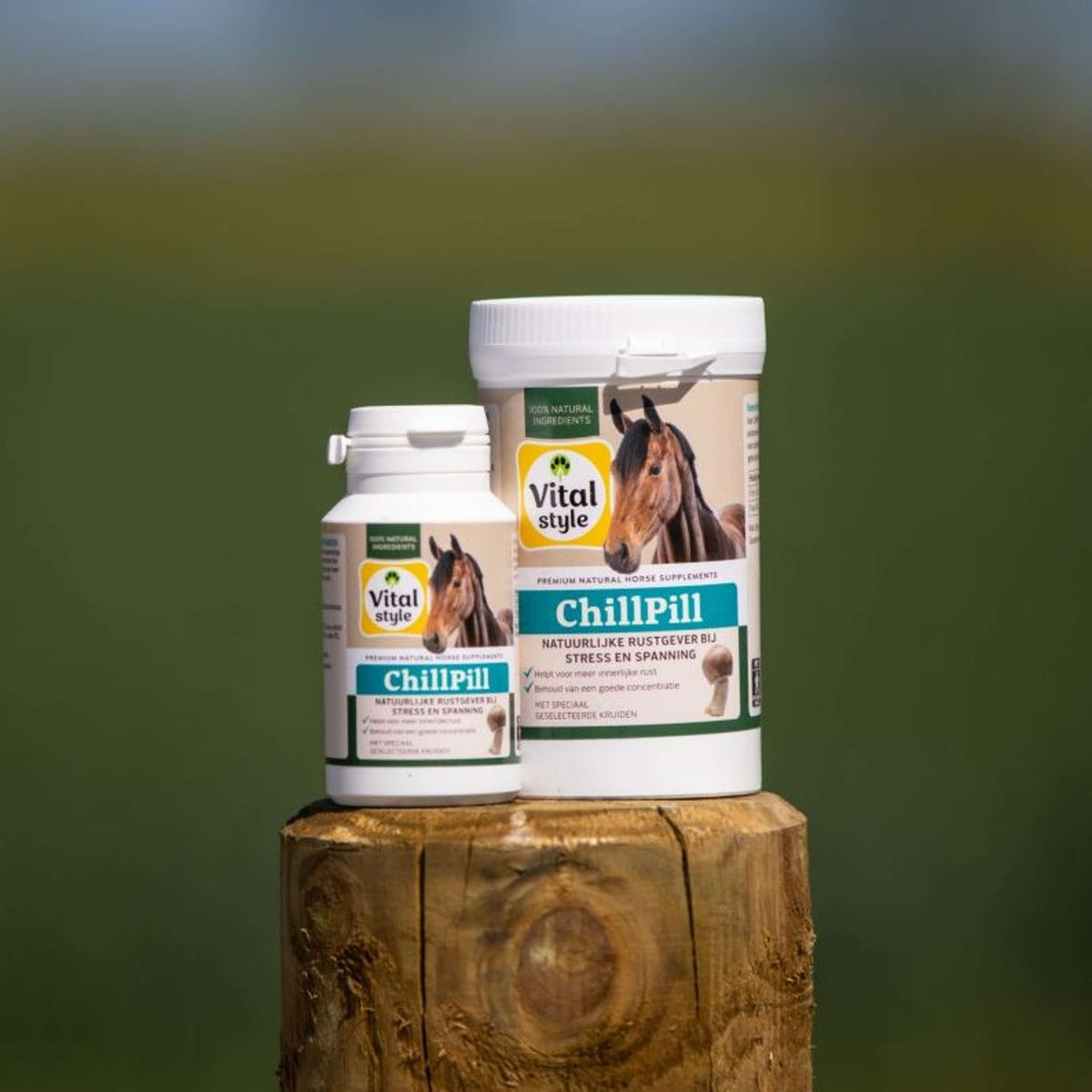 Vitalstyle ChillPill Cavallo