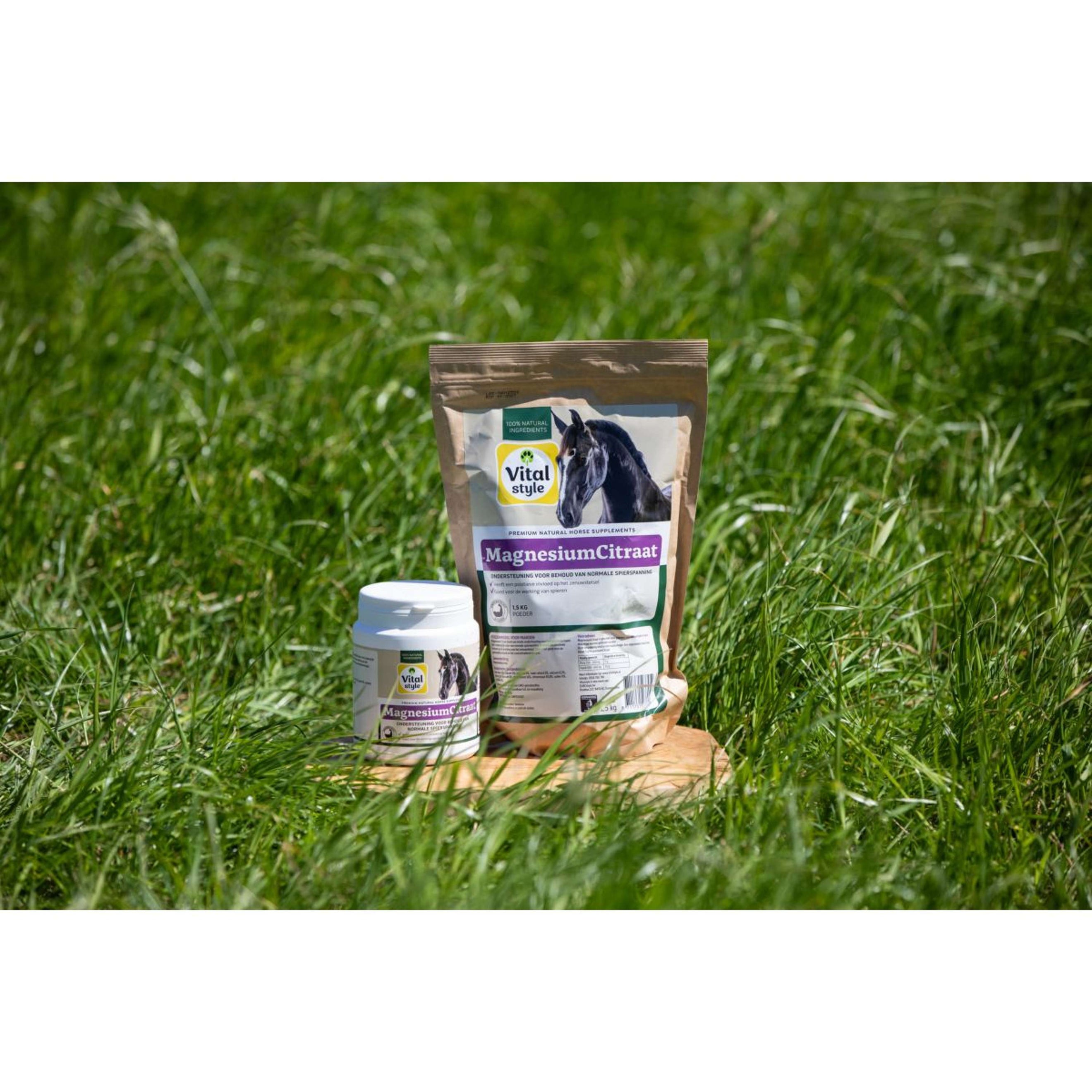 Vitalstyle Citrato di Magnesio Vitalstyle Citrato di Magnesio