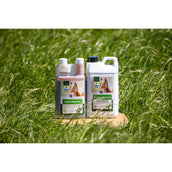 Vitalstyle Equilibrio Zuccheri